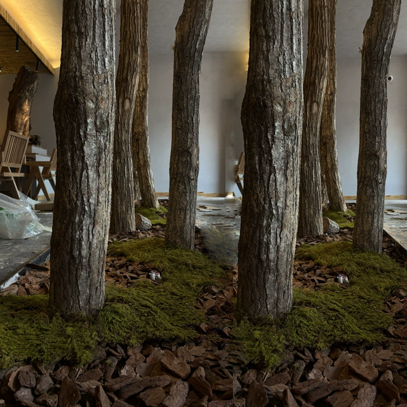Мори натуральные бревна с шкуркой, большие деревья, сухая гостиная, декоративный ствол, пейзаж, круглый деревянный столб
