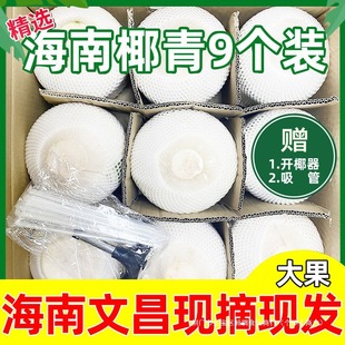 Ҭ�Ӻ���Ҭ��ȥƤ��Ҭ����ˮ��Ҭ���u֭ˮ���Ĳ������خa���l