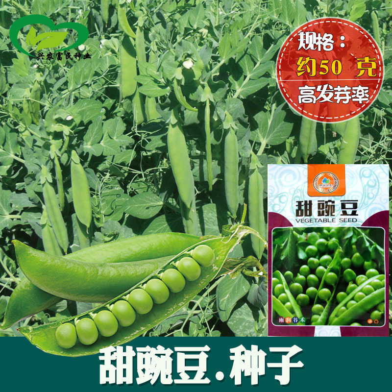 Sweet Pea Seeds, Farm Vegetable Garden Seeds, Plump, Crisp, Tender and Fragrant Pea Seeds, Vegetable Seeds