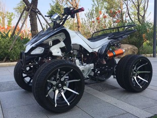 Little Mars Atv Off-Road Atv Four-Wheel Atv Leisure Atv Go-Kart