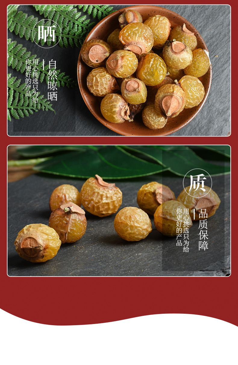 Wu Huan Zi (Sapindus mukorossi) — Dried Soapberry Fruit, Food-Grade Herbal Botanical quality and texture