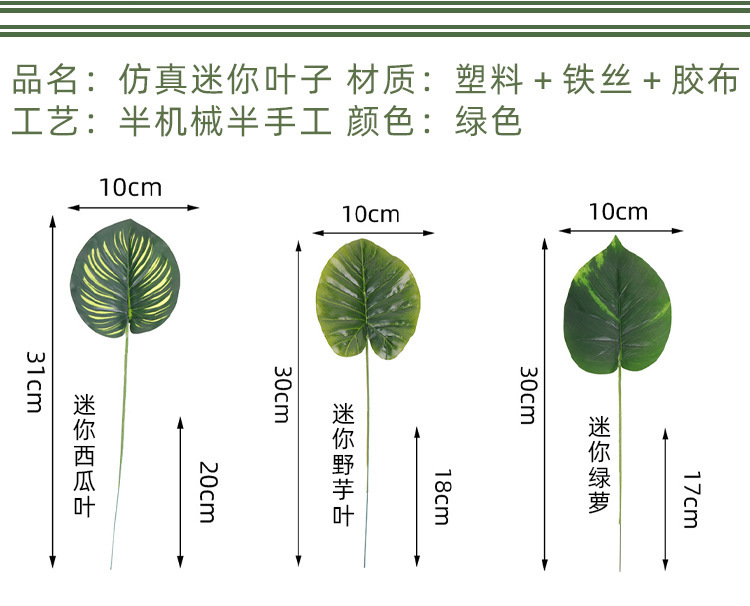 迷你綠蘿葉