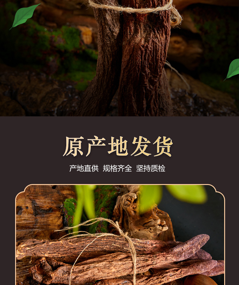 Dried Cynomorium Songaricum Whole Roots Suo Yang 500g Warming Herbal Tonic for Tea and Soup overview