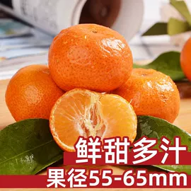 月饼;传统糕点;软糖