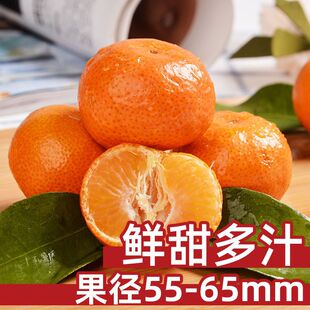 �Fժѩɼ���ٟo�˱�Ƥ�̽����r���Ӯ���ˮ��������