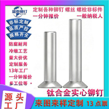 钛合金沉头铆钉医疗器械铆钉源头厂CNC machined titanium rivet