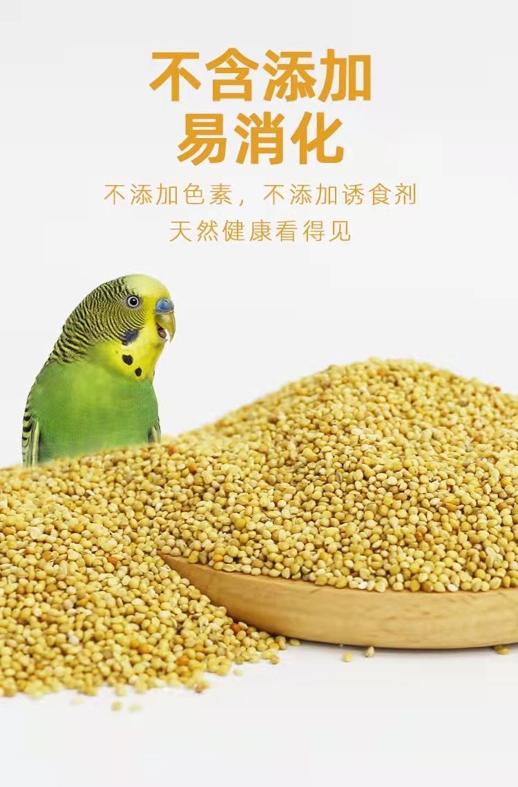 7665a1ac-4b12-4b53-8c33-7df48d512721.jpe