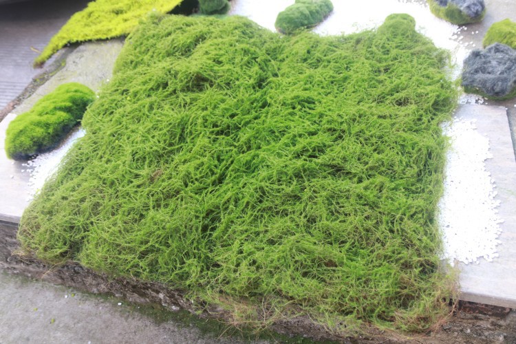 IMG_1299_proc_副本