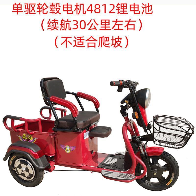 双人电动三轮车家用新款小型接送孩子老人老年拉货载重王电瓶三轮|undefined