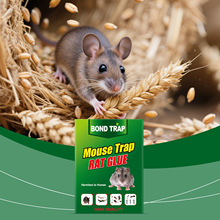 ����ճ��� ճ����ճ��һ�|��ճ���Â}�����ò�����ۯB������