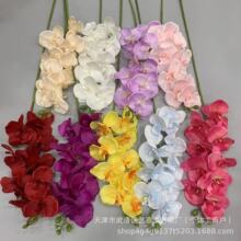 �����m���滨���滨����c�ٻ��b廨��ˇ��Y�ߙn���������m