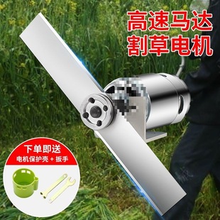 775 Dc Motor High Torque High Speed Motor Micro DIY Garden Lawn Mower 12V795 Motor Qiledezhu