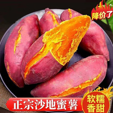 ���x ���rɳ�ؼt���������İ������ķ����t���S������ɽ��ع�