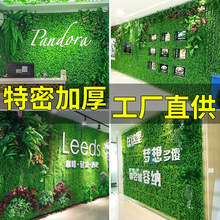 �Gֲ������ֲ���Ƥ���b��҃ȱ���������G�}��ֻ/�����ϼٲ�ƺ