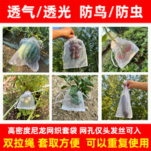 批发水果套袋果树防鸟防虫纱网袋葡萄无花果番石榴枇杷桃草莓保护