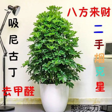 ��4.5�f���ղء������҃ȿ͏d���Ի��ܰ˷���ؔ���_ľ�Gֲ���~ɏ