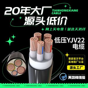 �������׷�ˮ��| ���̵͉������|YJV22 2*2.5��ɫ�r�񃞻�