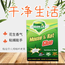 28 英文出口用粘鼠板 绿叶 出口用 粘老鼠 捕捉老鼠老鼠夹
