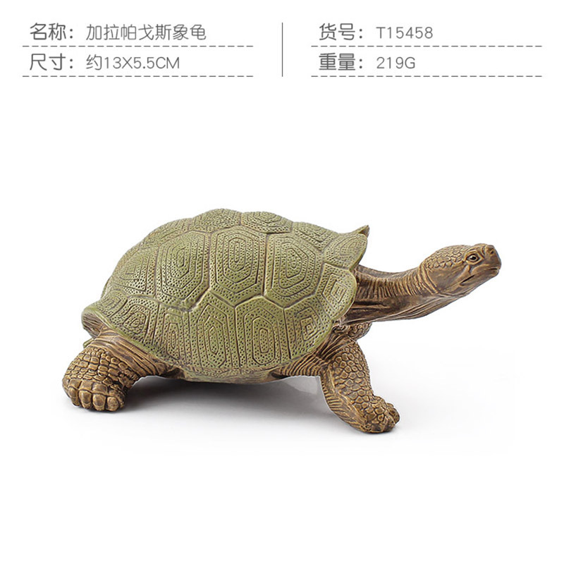 Transfronteriza Nueva simulación anfibio reptil modelo tierra tortuga elefante tortuga estrella tortuga estática decoración cognitiva decoración juguete