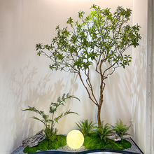 �R��ľ����Gֲ�쾰��ֲ�����䙻�����b��҃���؆ο÷��滨