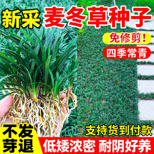 �ձ��������ݷN��ͥԺ�G���Ͱ��ͺ��ͺ��ļ����༚�~�����ݷN��