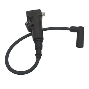 281409721D12A Is Suitable for Regalraptor350 High-Voltage Package Ignition Coil Motorcycle Accessories