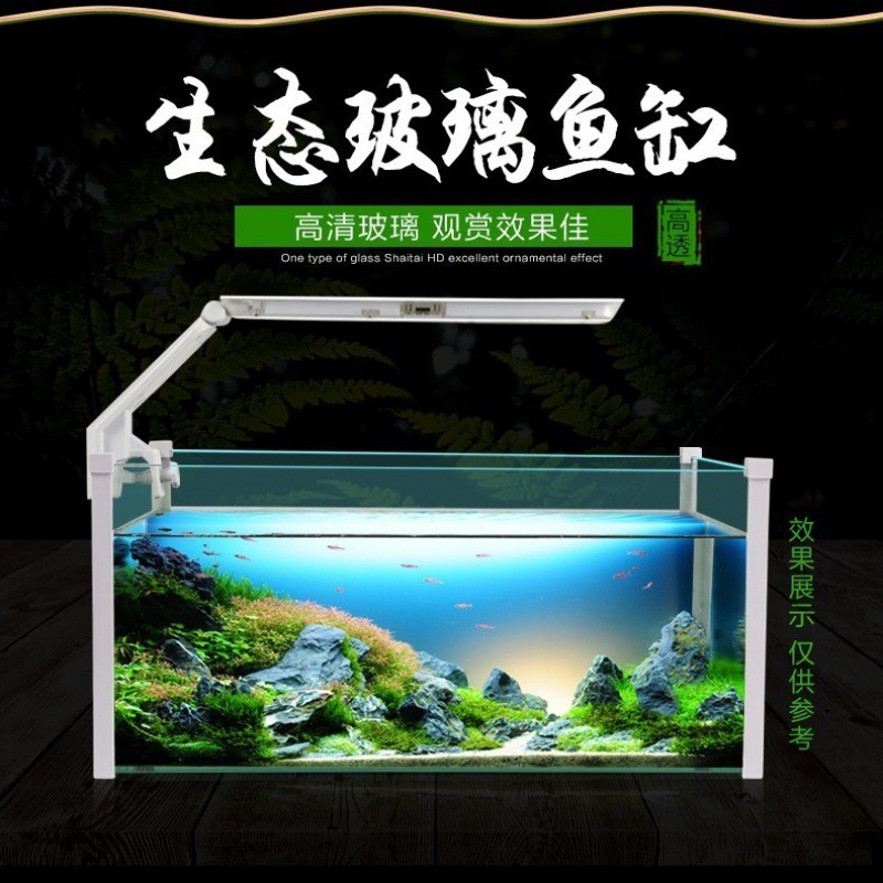 魚とカメの混合水槽、ツーインワンカメと魚の混合水槽、一体型カメと金魚の混合水槽、大型兼用隔離水槽|undefined