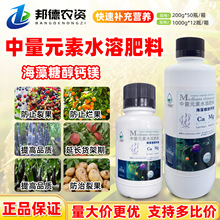 VźǴ}V΢Ԫˮܷ~ʹ߲