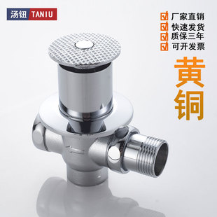 Heated squatting pan pedal stool Flushing Valve concealed toilet squatting pit buried foot delay valve