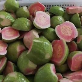 优质冷冻红心芭乐块速冻红心番石榴水果果肉工厂直营