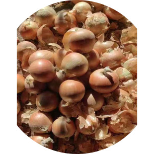 ���C�S���[8-11�������ϴ�ߴ�W���b�����n���ձ��|�ρ��S���[