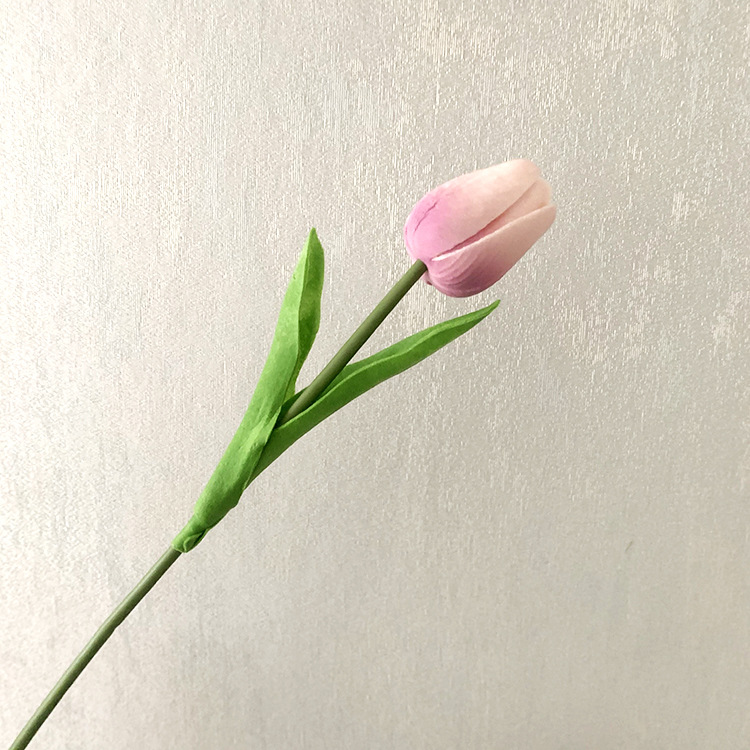 보라색 핑크