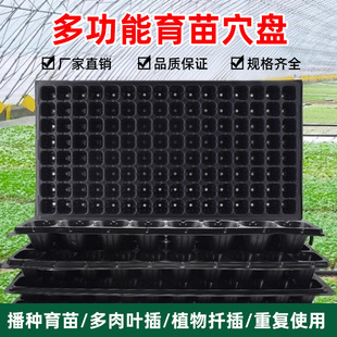 ����PѨ�P����N��������������N�����粥�NѨ�P�����бP����