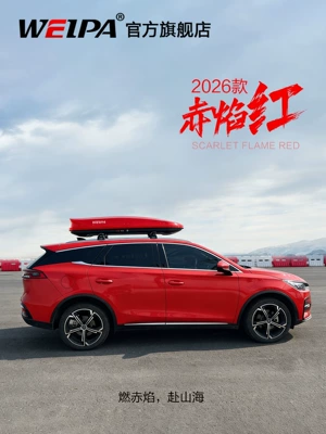 Roof box rack travel box