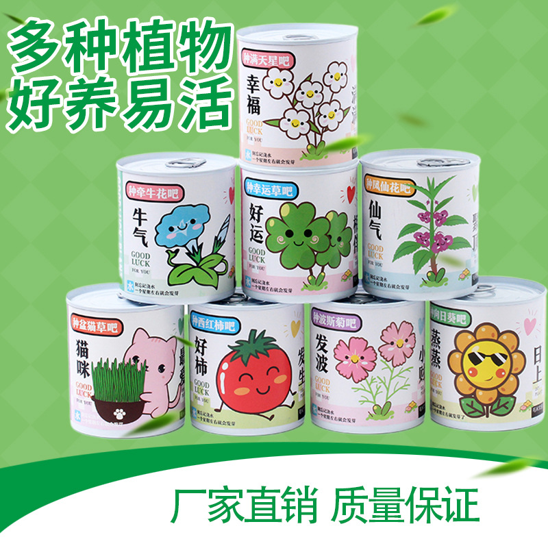 Los niños plantan pequeñas macetas de estrellas de sol, plantas de fresa, verduras, estudiantes de observación de plantas verdes, mini caja de semillas