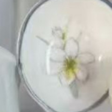 6.6inch 트위스트 스푼/신선한 수선화