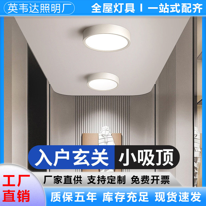 Entryway Light, Hallway Light, Corridor Lighting Fixtures, 2026 New Model Small Size Ceiling Light, Entrance Foyer Light