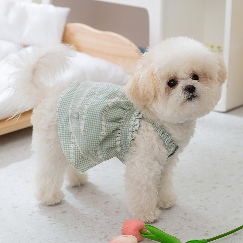 Primavera y verano perro princesa estilo Daisy Plaid falda de encaje Liga pies gato vestido ropa para mascotas