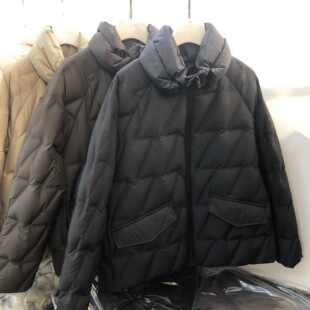 2024�ﶬ�W��վ���Ό��ɱ�ů���w���z�p���I�����q�����q����