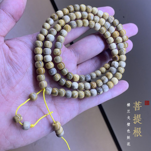 ���m����ִ��AͰ���Ȧ��Ů����������������������ֳֶ����l