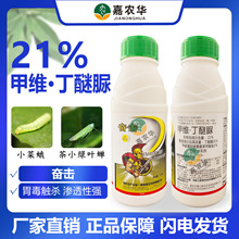 �^�� 21%�׾S������С�˶��С�G�~�s���x���׾S�}�������rș����