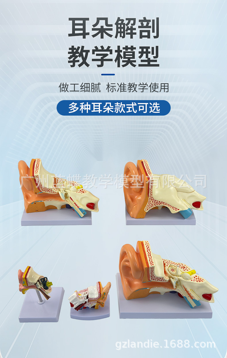 详情 (1)