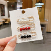 Brooch, pin, protective underware, clothing, trousers, skirt, brace, clips included, elastic waist