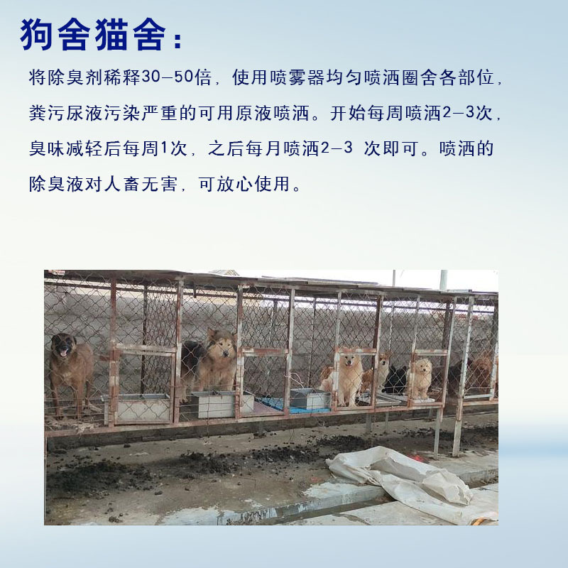 狗舍猫舍详情页