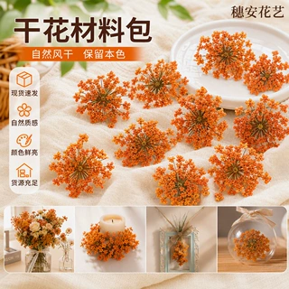 厂家定制干花压花蕾丝花台灯装饰贴脸压花贺卡请柬粘花亲子压花画