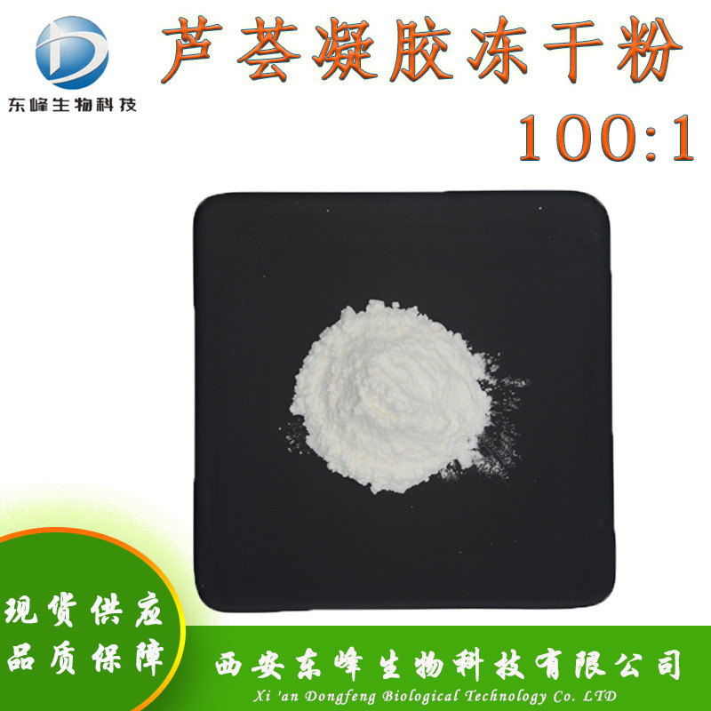 化妆品原料100:1芦荟凝胶冻干粉 库拉索芦荟提取物现货芦荟冻干粉