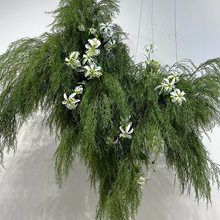 芦荀草高枝柳芽软装绿植森系花材婚礼莫奈花园装饰背景造景