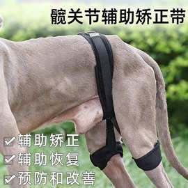 宠物狗后腿护具髋关节辅助矫正带护膝韧带撕裂受伤康复带关节护具