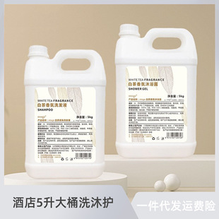Hotel 5-Liter Large Barrel Shampoo and Shower Gel Barber Salon 500 Large Bottles of Bath Special Shampoo Dropshipping