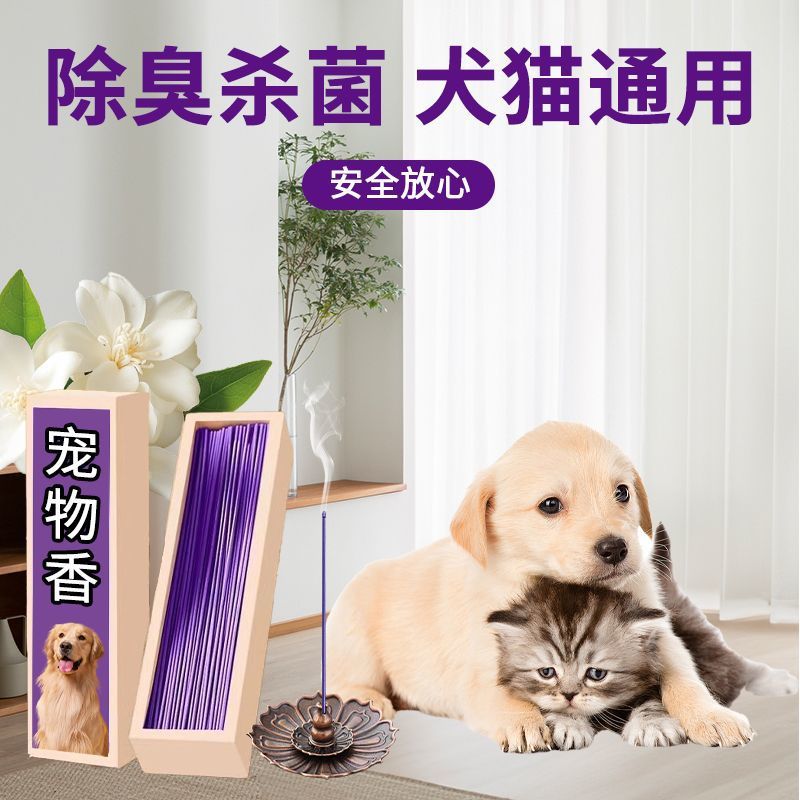 508baedf-491b-46ad-a9fc-9889663437c5.jpe